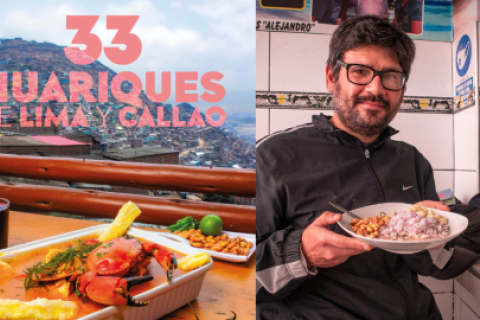 libro 33 huariques