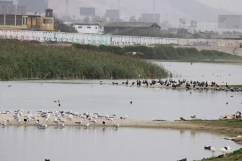 Pantanos de Villa