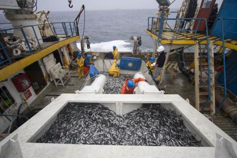 pesca-en-areas-naturales