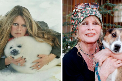 Brigitte Bardot