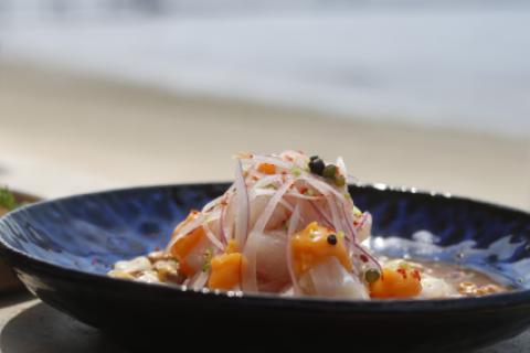 CEBICHE 
