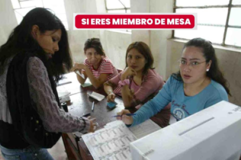 miembro de mesa