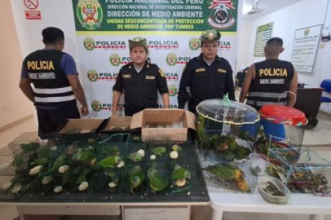 trafico ilegal de animales tumbes