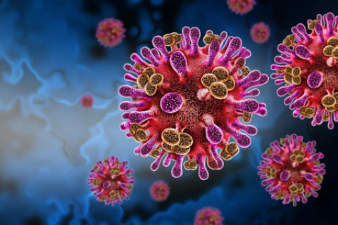 Virus Nipah amenaza a India y Malasia OMS continúa vigilante