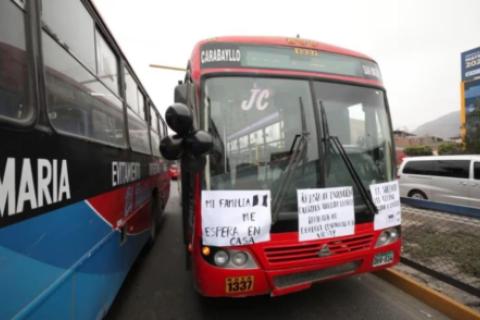 buses