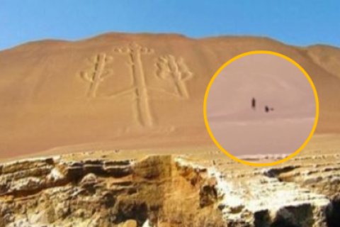 paracas