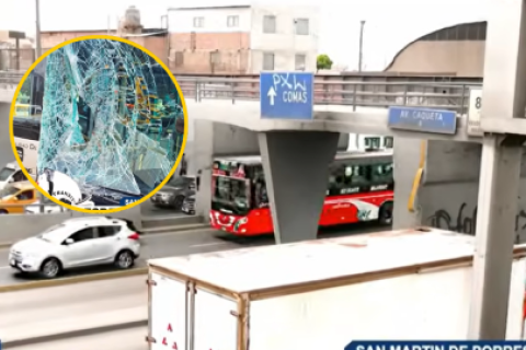 bus