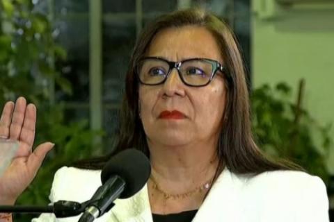 nelly paredes ambiente