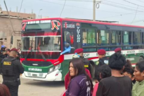 Bus