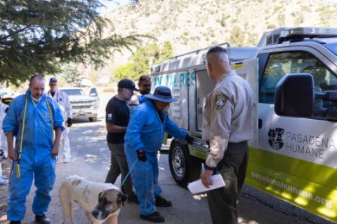 Más de 70 efectivos del Departamento de Control Animal trabajaron en la operación en Lake Hughes