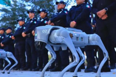 Perro robot México Mundial 2026 Guadalupe estadio Monterrey