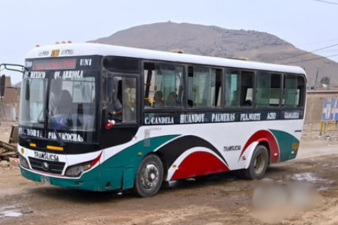 Translicsa