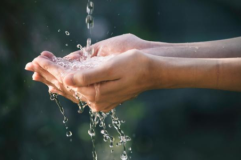 Un llamado a la reflexión ¿Por qué se celebra hoy el Día Mundial del Agua