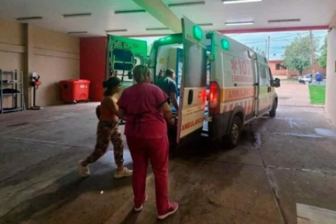 Brutal ataque de una jauría niño fue mordido mientras jugaba en el patio de su casa