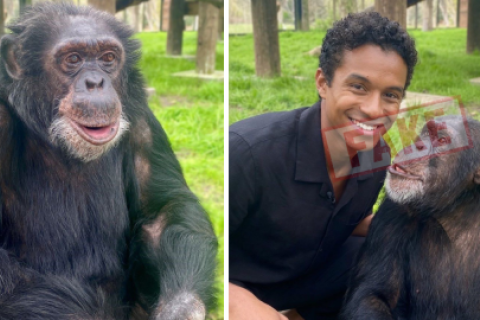 Foto viral de Jaafar Jackson con Bubbles