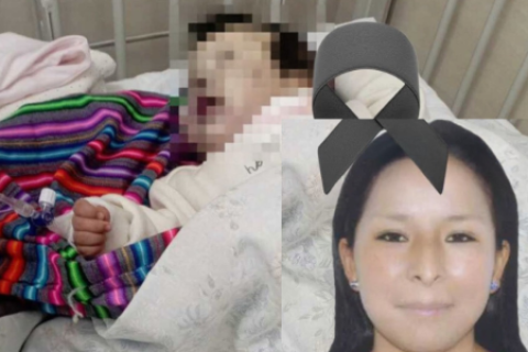 Madre muere tras salvar a su bebé en fatal accidente en Ayacucho
