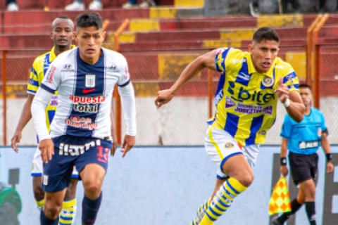 alianza