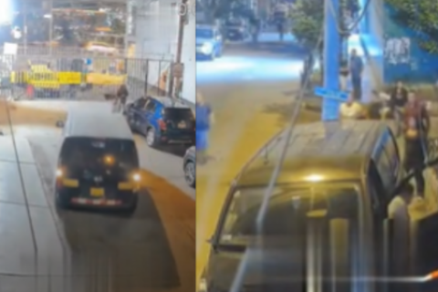 Madre muere protegiendo a sus hijos de minivan en SJL