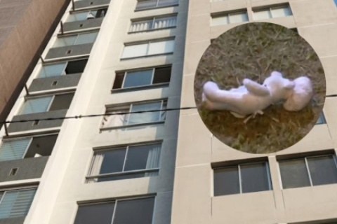 Niña de 2 años en estado crítico tras caída en Comas