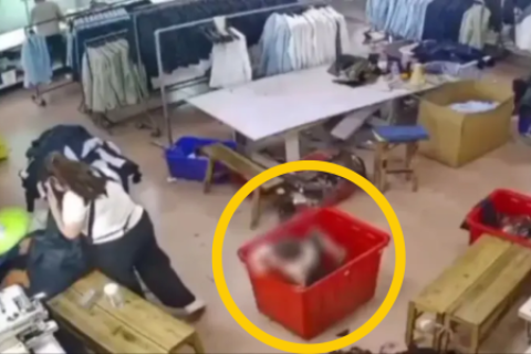 Niño murió asfixiado tras quedar atrapado bajo montaña ropa fábrica China