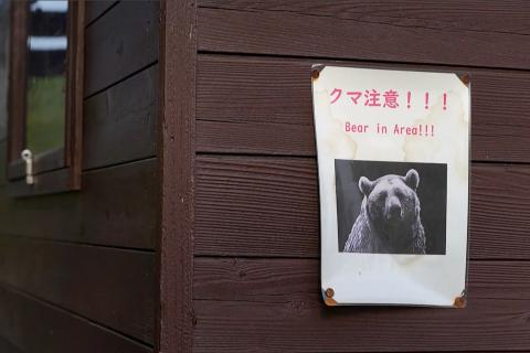osos