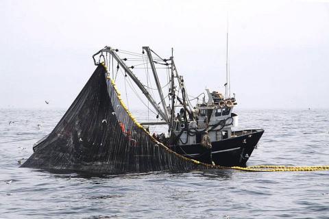 pesca industrial