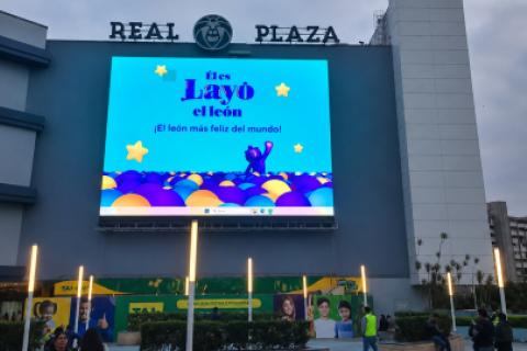 real plaza
