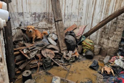 Abuelito pierde su vivienda tras incendio en Huaral