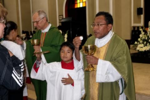 papa león 