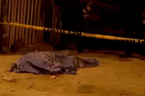 San Juan de Lurigancho: asesinan a hombre cerca de su casa mientras bebía alcohol