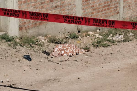 Arequipa: Jauría de perros mata a adulta mayor hasta matarla