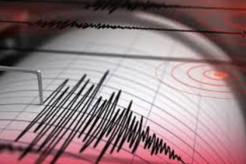 TEMBLOR 
