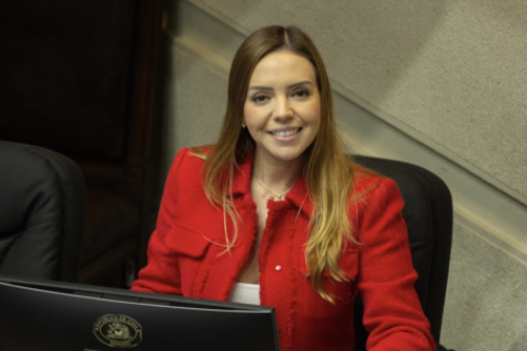 CAMILA FLORES 