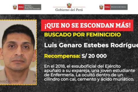 femincida