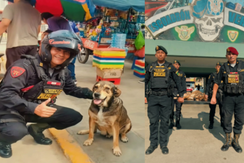 Policía de Trujillo despide con honores a Vaguito, el perro que acompañó durante años sus patrullajes