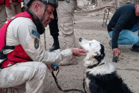 Tsunami, el perro rescatista que se convirtió en símbolo de esperanza tras salvar a 30 personas en Venezuela
