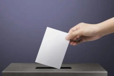 voto