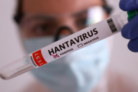 hantavirus 