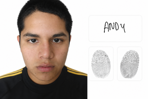 ANDY 