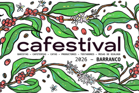 FESTIVAL 
