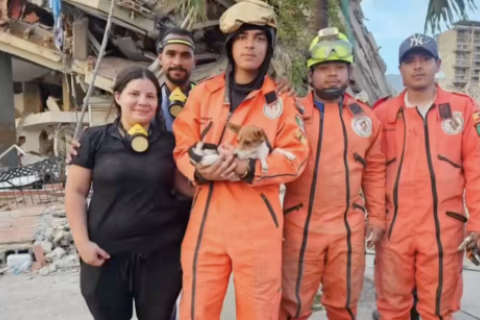 BOMVEROS 