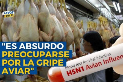 gripe aviar