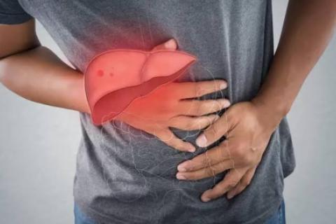 hepatitis b