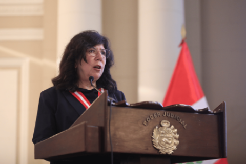 Janet Tello Nuevo Gobierno debe revisar Ley de Extinción de Dominio y otras normas procrimen